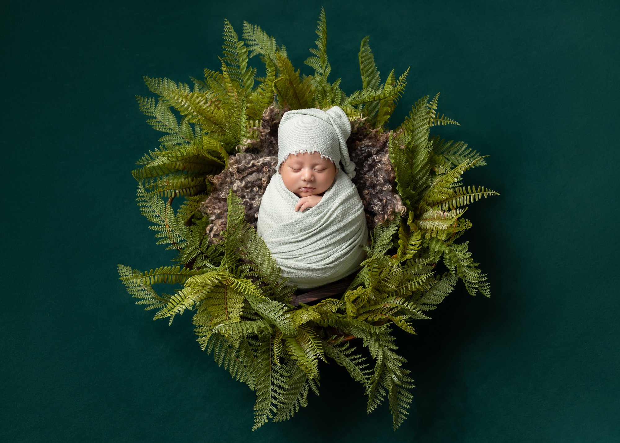 Newborn in mint wrap and knit cap surrounded by ferns, teal background — IDTPhoto Aurora IL