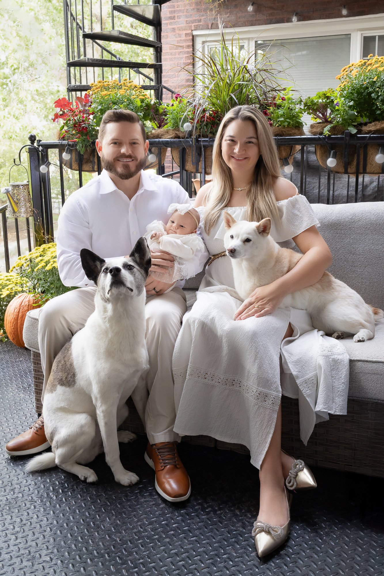 Parents with newborn and two dogs on outdoor porch in fall — IDTPhoto Aurora IL lifestyle newborn photographer