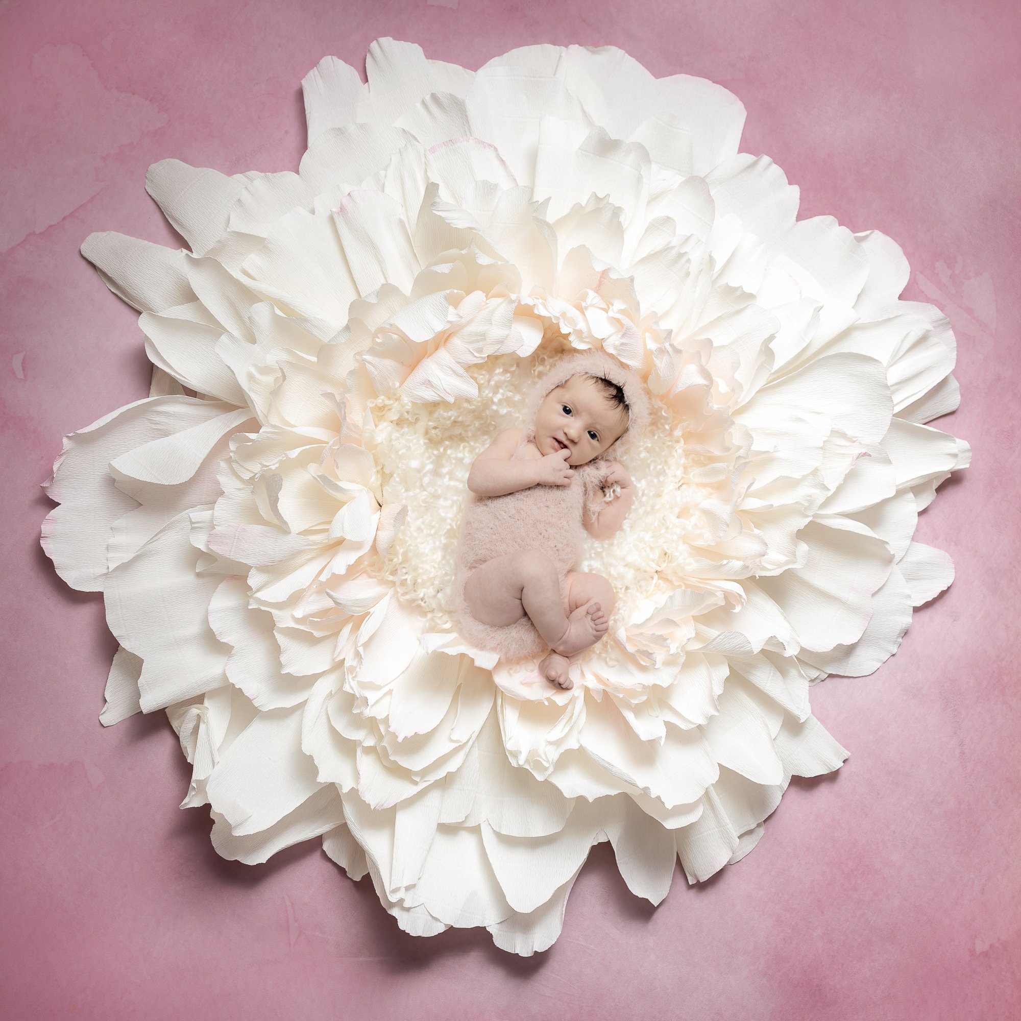 Newborn nestled in giant white paper flower prop — IDTPhoto Chicagoland boutique newborn studio